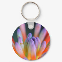 Succulent Buds 4 keychains
