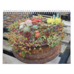 Succulent Calendar 2011