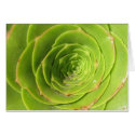 Succulent cards