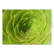 Succulent cards