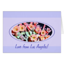 Succulent cards
