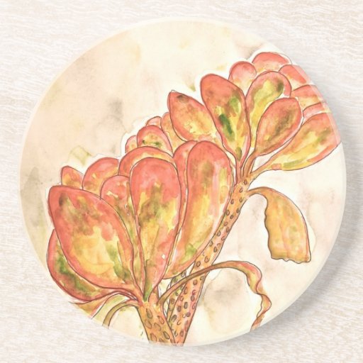Succulent Coasters