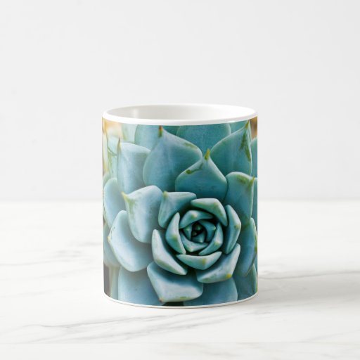 Succulent Coffee Mug Zazzle