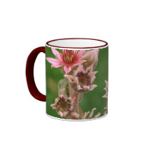 Succulent Flowers mugs