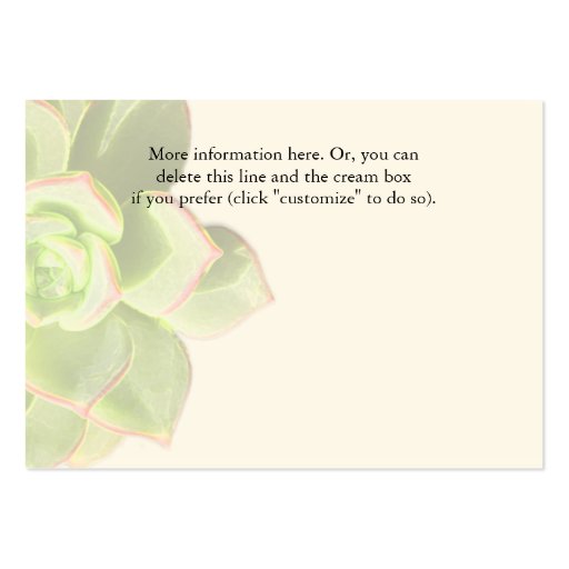 Succulent Hotel Accommodation Enclosure Cards Business Cards (back side)