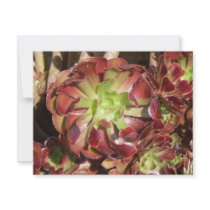 Succulent invitations