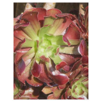 Succulent Personalized Letterhead