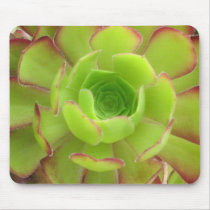 Succulent mousepads