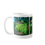 Succulent Mug