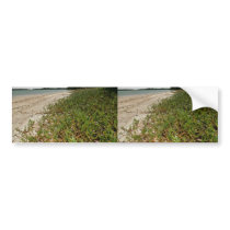 Succulent plants on beach bumper stickers