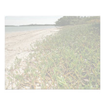 Succulent plants on beach personalized announcement