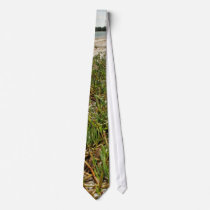 Succulent plants on beach ties