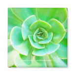 Succulent Rosette - Magnet
