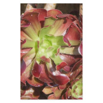 Succulent Customized Stationery