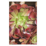 Succulent Customized Stationery