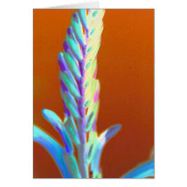 succulent stem cards