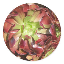 Succulent stickers