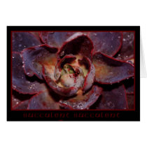 Succulent Succulent  cards