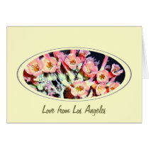 Succulent "Weed" cards