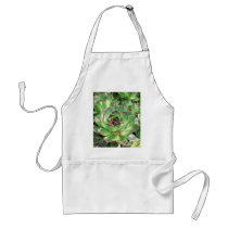 Succulents aprons