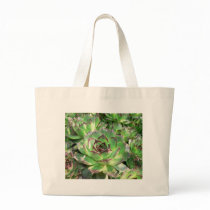 Succulents Bag