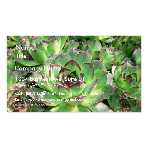 Succulents Business Cards (front side)