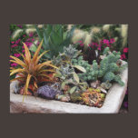 Succulents Garden Stretched Canvas Print canvas prints