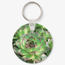 Succulents keychains