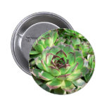 Succulents Pin