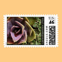 Succulents postage by heatherlenkin Succulents postage