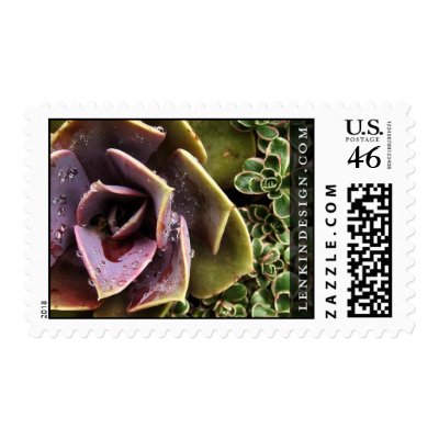 Succulents Postage Stamp by heatherlenkin