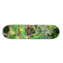 Succulents Skate Board