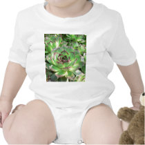 Succulents t-shirts