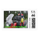 Sucking Mosquitos, Alaska - Sucking Mosquitoes Postage