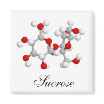 Sucrose magnets