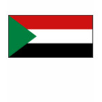Sudan Flag Map Spaghetti Top