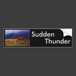 Sudden Thunder Horse Art Bumper Sticker