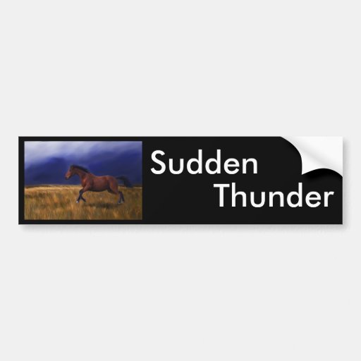 Sudden Thunder Horse Art Bumper Sticker