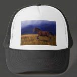 Sudden Thunder Horse Art Hat