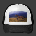 Sudden Thunder Horse Art Hat