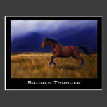 Sudden Thunder Horse Art Postcards