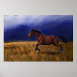Sudden Thunder Horse Art Print
