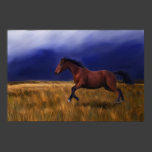 Sudden Thunder Horse Art Print