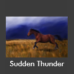 Sudden Thunder Horse Art Tee Shirt