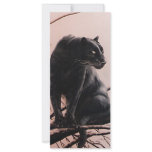 Suddenly Personalized Rack Card