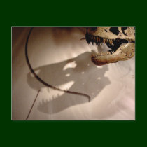 Sue's Shadow postcards