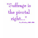 "Suffrage is the pivotal right...", Susan B. An... t-shirts