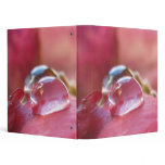 Sugar And Spice Binder