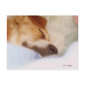 Sugar Booger postcards