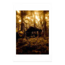 sugar camp posters